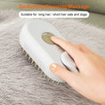 Load image into Gallery viewer, Steam Brush 3 in 1 Electric Spray USB Rechargeable Massage Comb for Pet Hairs
