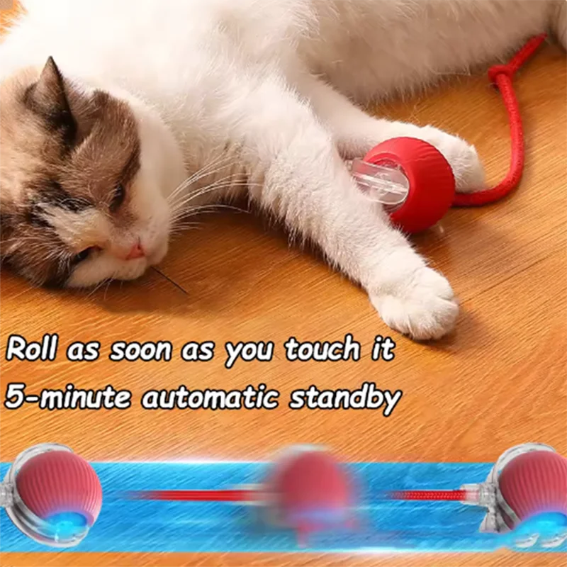 Automatically teasing cat balls