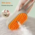Load image into Gallery viewer, Steam Brush 3 in 1 Electric Spray USB Rechargeable Massage Comb for Pet Hairs
