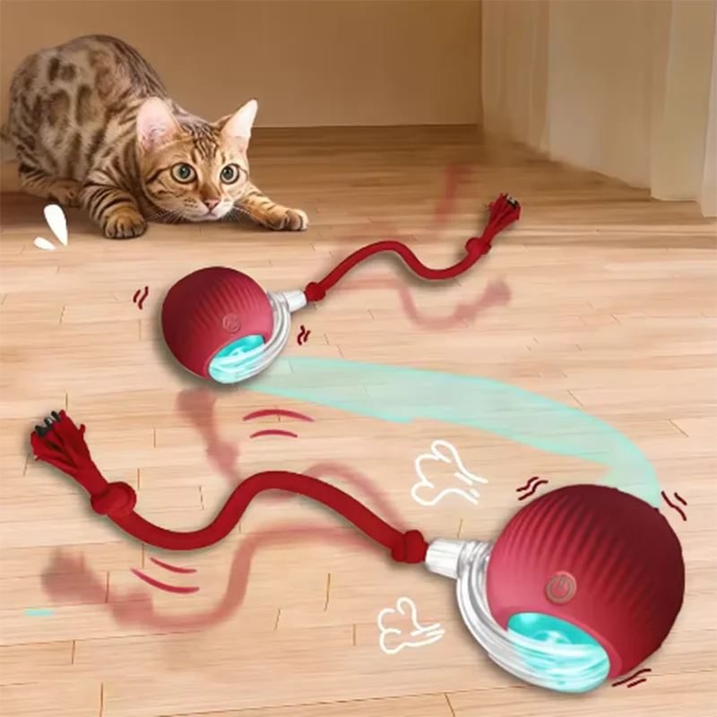 Automatically teasing cat balls