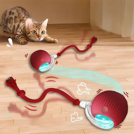 Automatically teasing cat balls