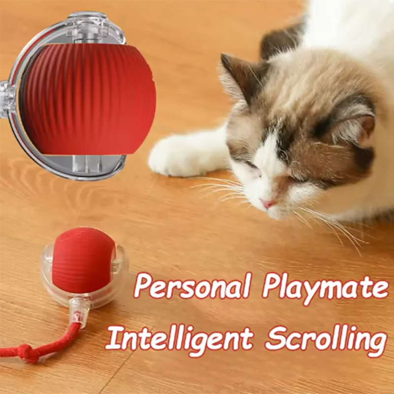 Automatically teasing cat balls